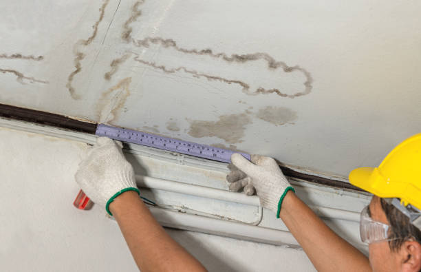 Reliable Structural Drying contractor in Memphis, MI by Water Damage Irwin